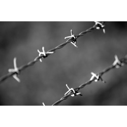 Alambre de espino RICOMOR 3ZN 1.60mm (pallet de 64 rollos)